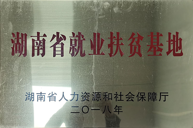 湖南省就业扶贫基地