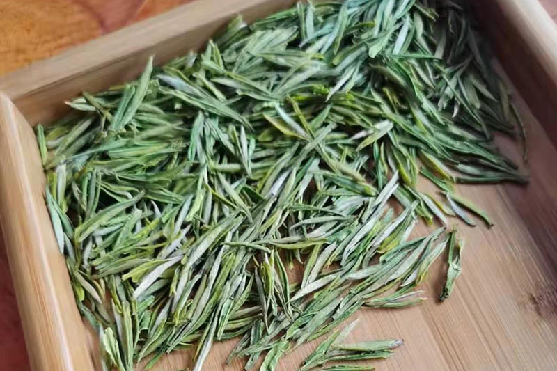 陡岭洞茶叶种植基地茶叶展示