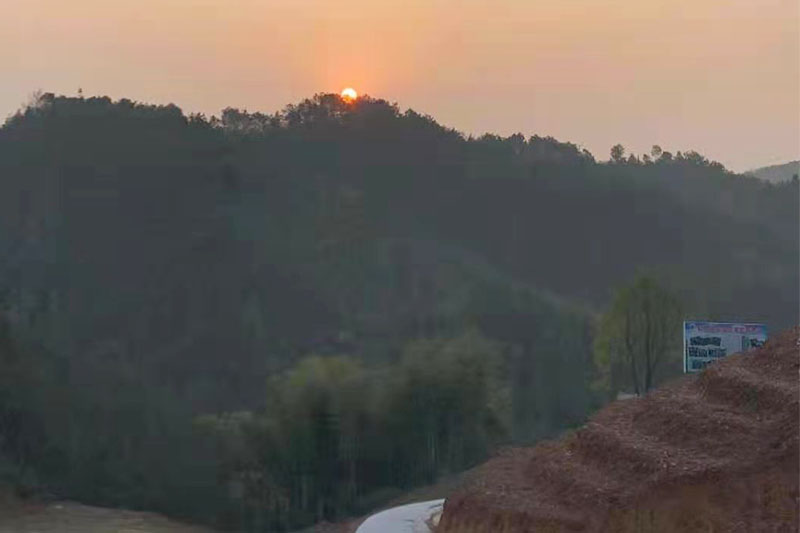 陡岭洞茶叶种植基地