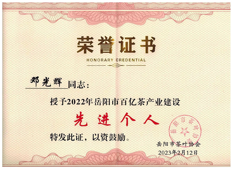 2022年岳阳市百亿茶产业建设先进个人荣誉证书