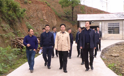 廖星辉到桃林镇调研指导脱贫攻坚工作